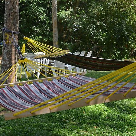 Jungle Beach Hostel Unawatuna Exterior photo